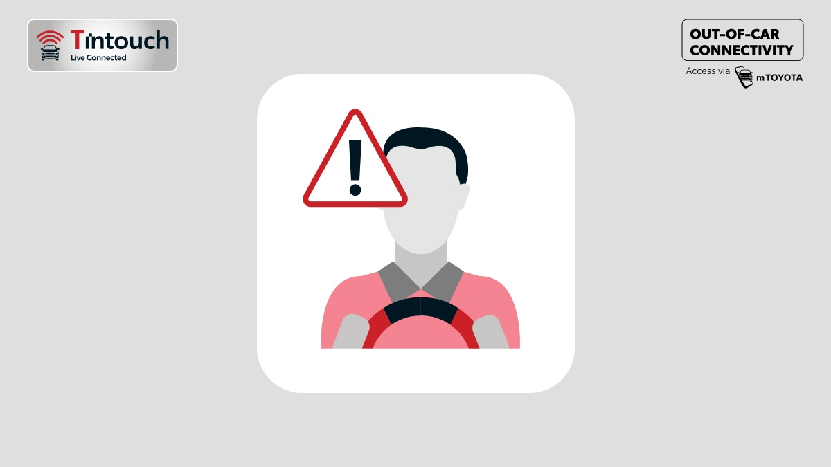 zenix Conectivity 11