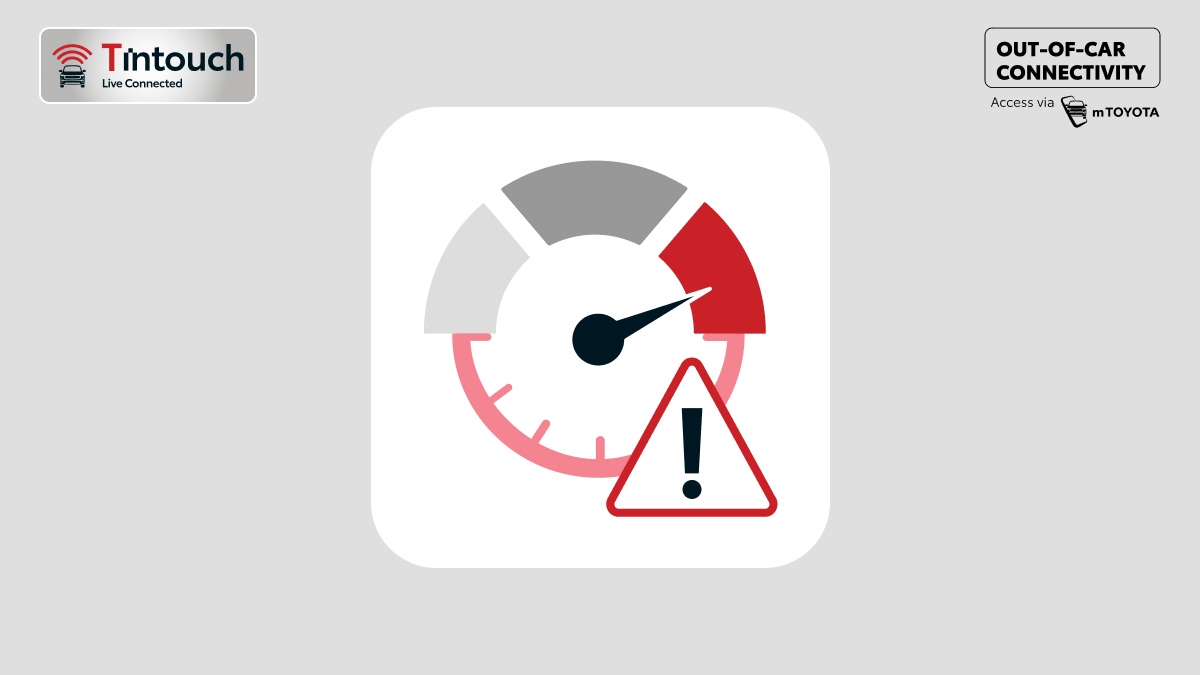 zenix Conectivity 12