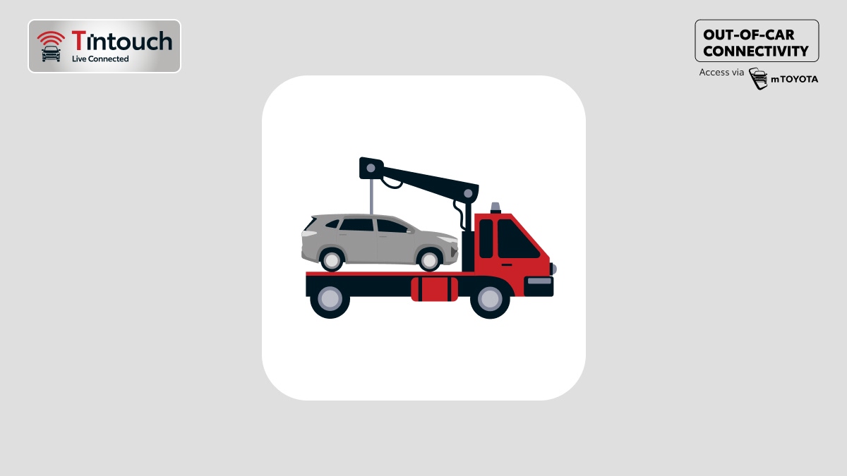 zenix Conectivity 15