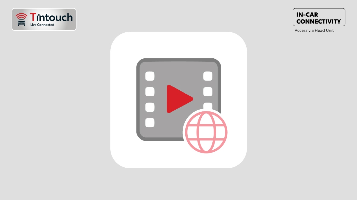 zenix Conectivity 18