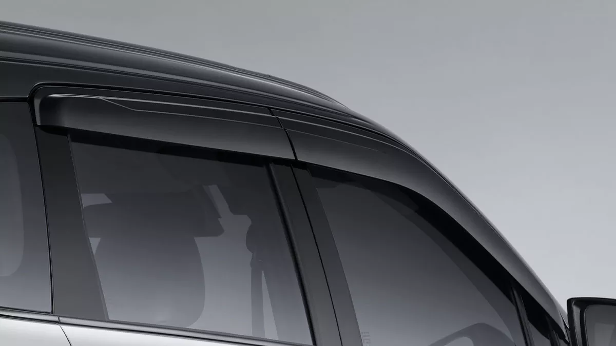 Side Visor