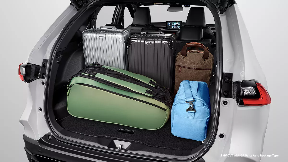Cozy Spacious Luggage